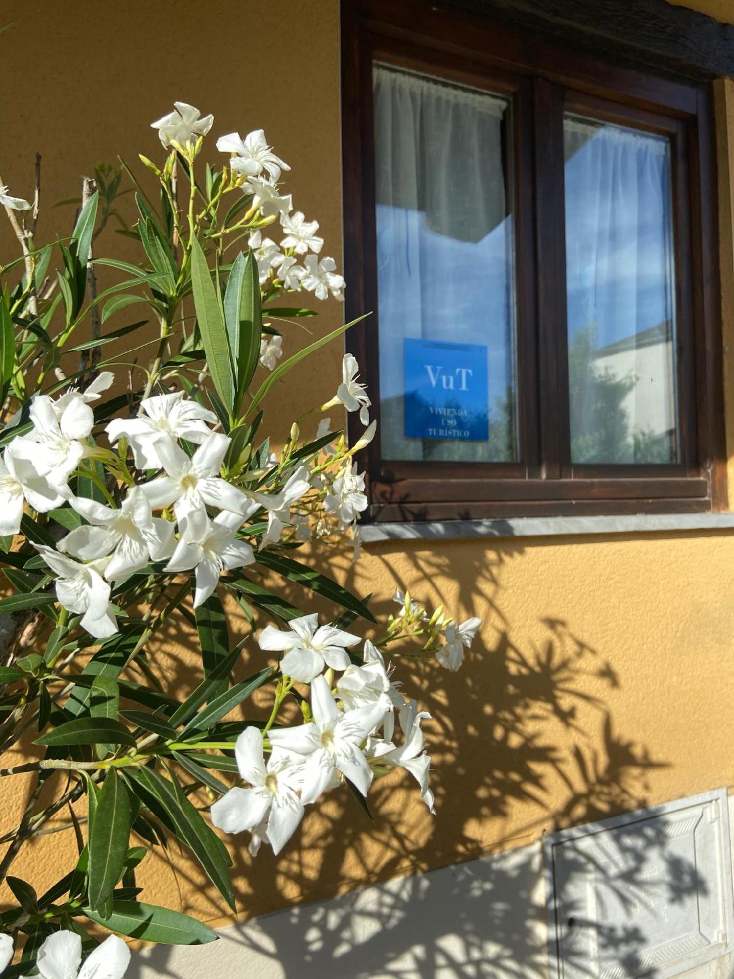La Casita De Vinales Villa Bembibre  Kültér fotó